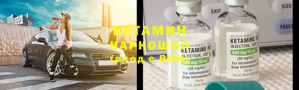 сатива Абаза