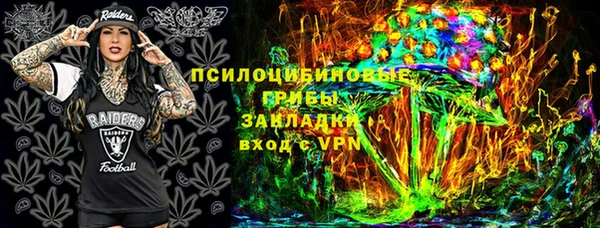 шишки Абдулино