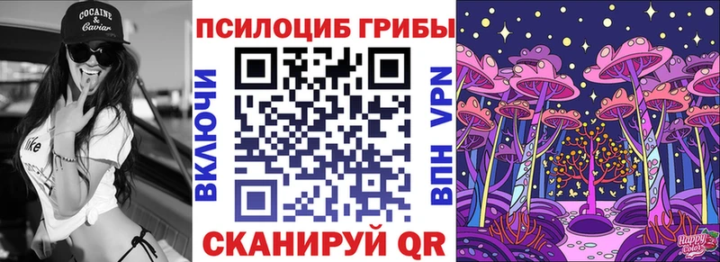 как найти закладки Кирсанов Псилоцибиновые грибы MAGIC MUSHROOMS