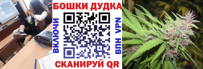 Шишки марихуана семена  Кирсанов 